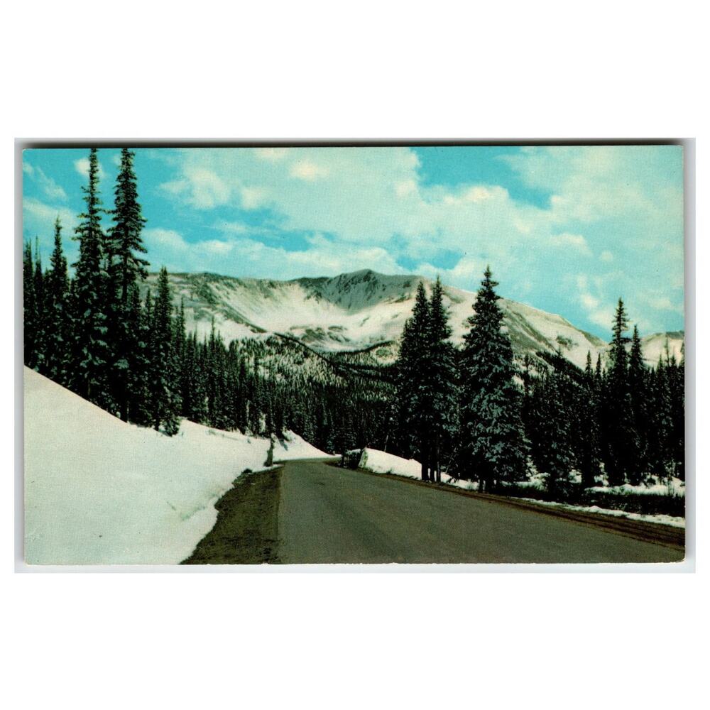Engleman Peak Berthoud Pass CO Highway 40 Curteichcolor Postcard 1950s